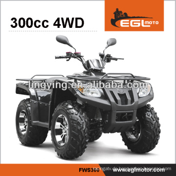 4-Rad Quad-bike